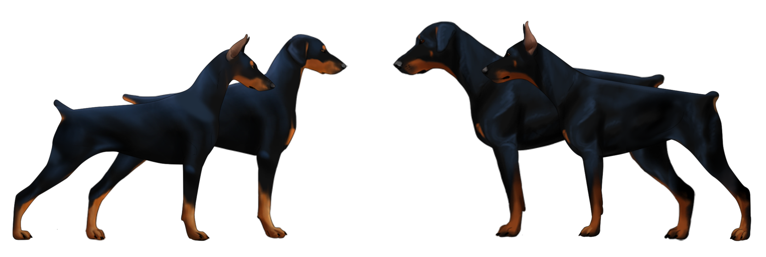 Big Dog Names Male Doberman Big Dog Names Male Doberman