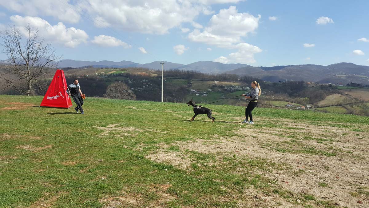 Fort Bellators Dobermann Kennel